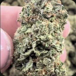 Creme Brulé THCA Flower — 1 lb Wholesale