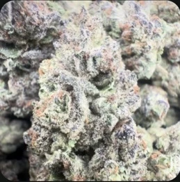 Pink Cookies THCA Flower — 1 lb Wholesale