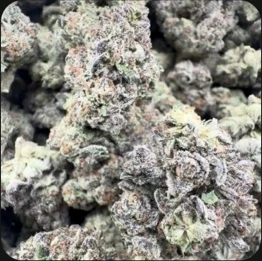 Runtz THCA Flower — 1 lb Wholesale