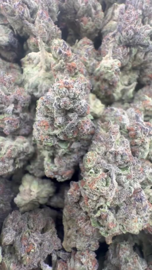 Bulk flower lot video for wholesale sourcing review