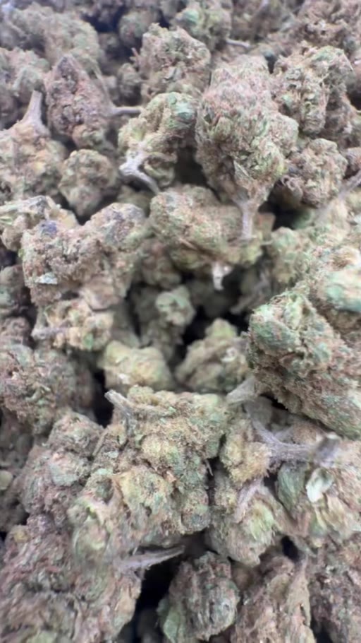 Bulk THCA hemp flower original lot inspection video