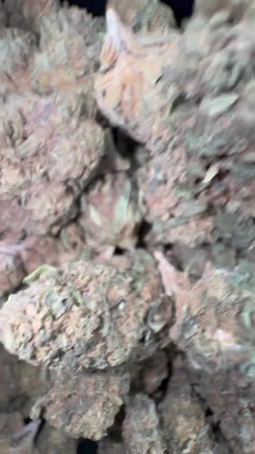 Wholesale THCA flower lot video showing flower at bulk scale